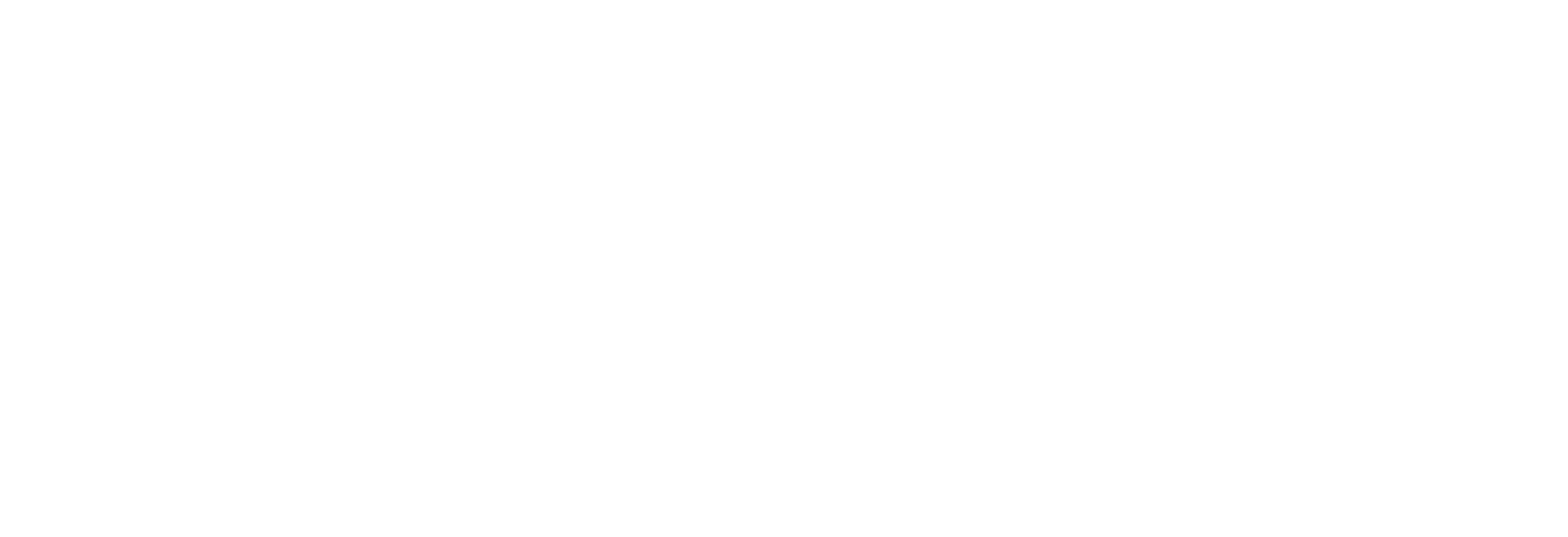 Starway Limousine Logo