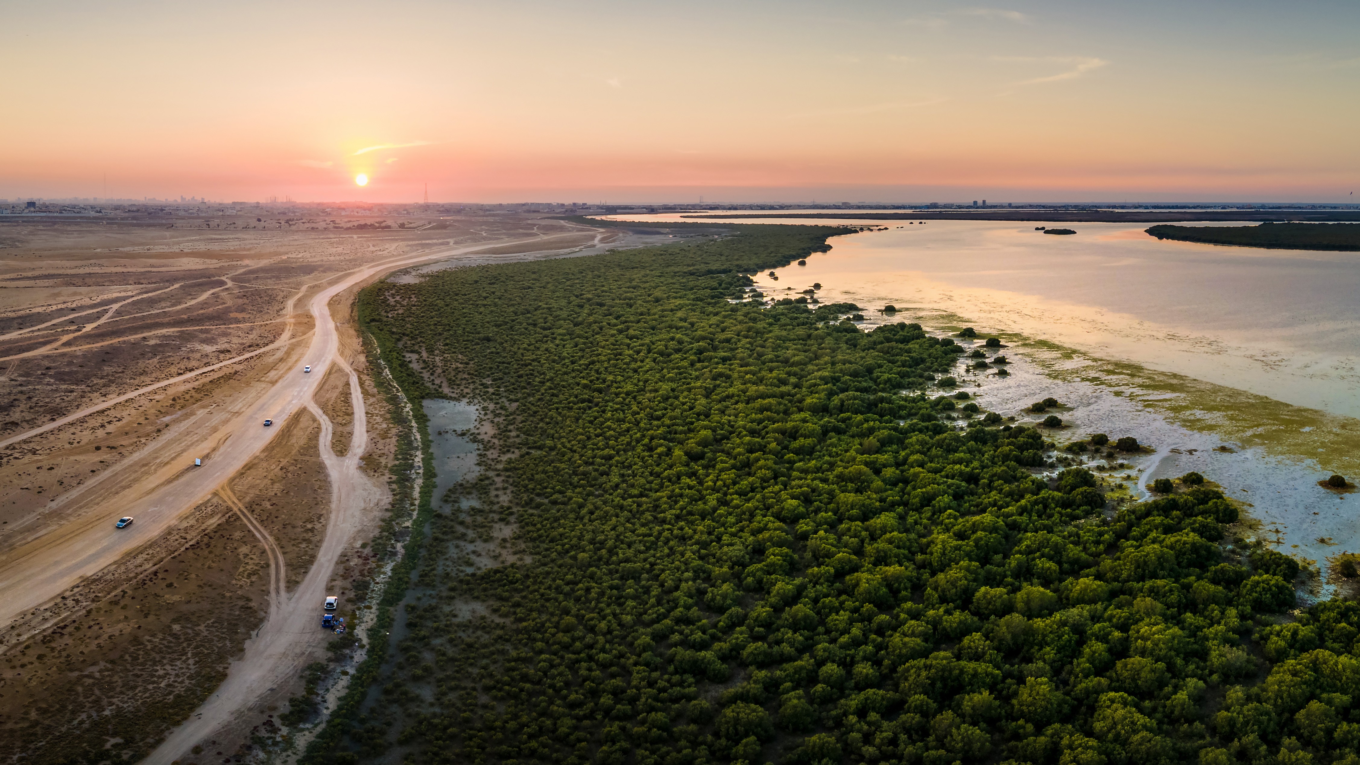 Umm Al Quwain mangroves and natural lagoon